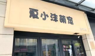 开一家宠物店需要多少钱